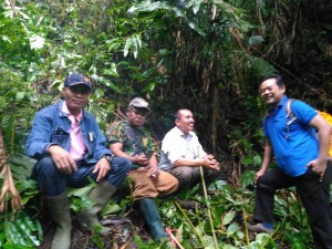FUNGSI HUTAN BAGI KELANGSUNGAN HIDUP