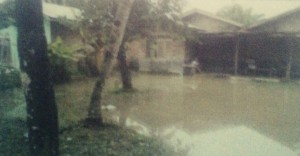 PEMDES JATIMULYO BANTU WARGA YANG KEBANJIRAN