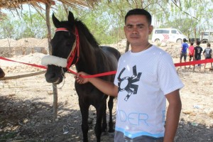 225 KUDA RAMAIKAN HUT KE-11 KOTA OELAMASI