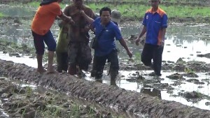 PENGIDAP GANGGUAN JIWA DI TANGKAP KARENA BAKAR RUMAH MILIKNYA SENDIRI