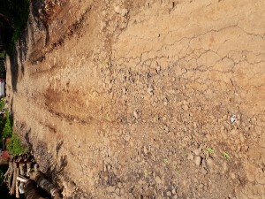 Masyarakat Desa Sigayam Resah Pasalnya Jalan Milik PEMDA Kab. Batang Rusak Parah