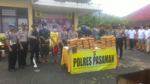 Polres Pasaman Musnahkan 60,69 KG Ganja Kering