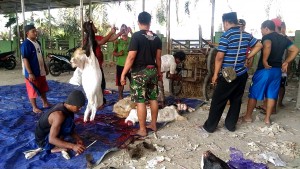 Pengelola Pasar Sayur Dan Buah Pemalang  Potong Hewan Kurban
