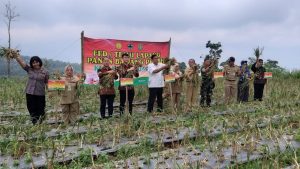Pernah Tanam 1500 Hektare, Kementan Pacu Kembali Bawang Putih Magelang
