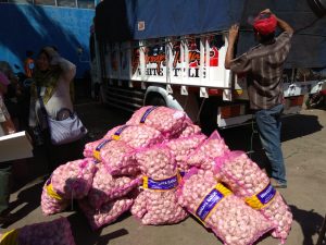 Kementan Jamin Persediaan dan Harga Bawang Putih Hingga Idul Fitri Aman, Ini Alasannya