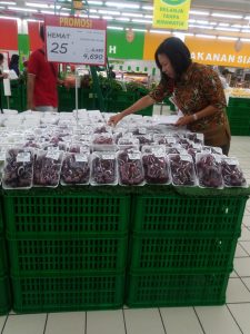 Peran Petugas Pengambil Contoh dalam Pengawasan Mutu Produk Hortikultura