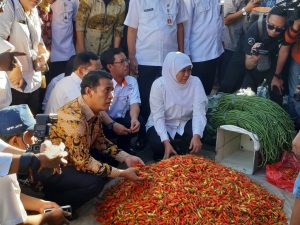 Produksi Cabai di Jatim Melimpah