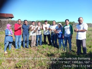 BAWANG MERAH PROVITAS 20 TON ASAL BANTAENG SIAP DIDAFTARKAN
