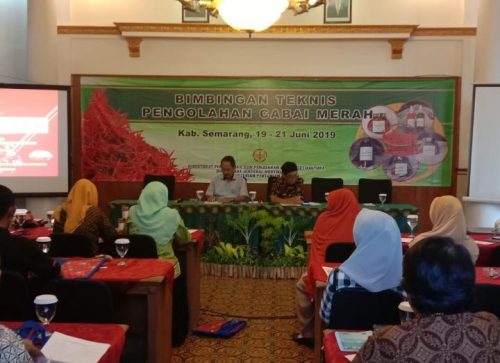 Produk Olahan Cabai Tingkatkan Daya Saing Produksi