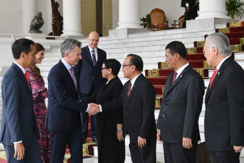 Presiden Jokowi Respon Cepat Keinginan Argentina Impor Buah Indonesia