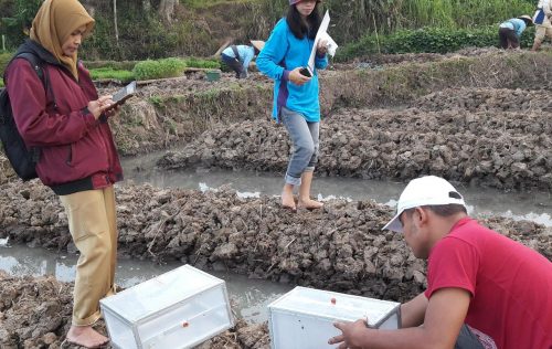 Kementan Mengukur Emisi Gas Rumah Kaca Pada Hortikultura