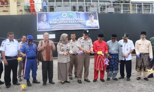 Jadi Bahan Bakar Eco-Friendly, Ekspor Cangkang Sawit Riau Terus Meningkat