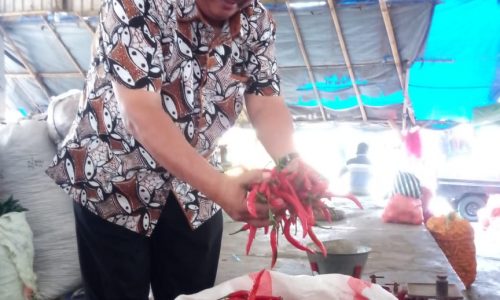 Jaga Stabilitas Pasokan, Kementan Gunakan Strategi Pola Tanam Berbasis IT dan Kebutuhan Riil