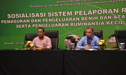 Kementan Tingkatkan Layanan Rekomendasi Bidang Peternakan dan Kesehatan Hewan