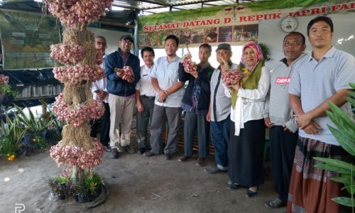 Kementan Dukung Kota Mataram Kembangkan Kawasan Sayuran Perkotaan