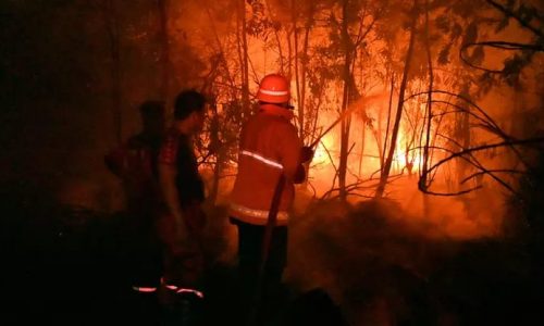Karhutla di Sedau, Singkawang di  kepung asap
