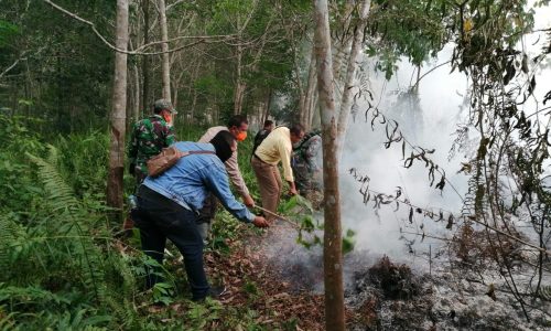 Lagi, Karhutla terjadi di Singkawang utara