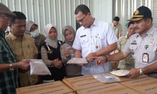 Bidik Potensi Pertanian Sultra, Kementan Pacu Ekspor dan Investasi