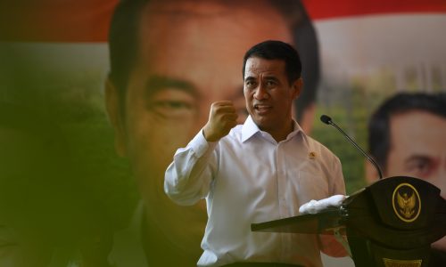 Melejit Tiap Tahun, Ekspor Pertanian Indonesia Salah Satu Terbaik di Dunia