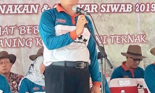 Kementan Tingkatkan Produksi Pangan Asal Ternak Melalui Agribisnis Peternakan Rakyat