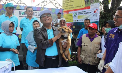 Kementan: Perkuat Pendekatan Multi Sektoral Wujudkan Indonesia Bebas Rabies