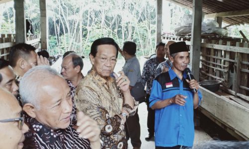 Angkat Pamor Produk Hortikultura, Kementan Kembangkan Model Desa Pertanian Organik
