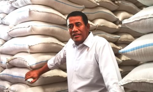 Sidak Menteri Amran ke Gudang Bulog, Stok Melimpah