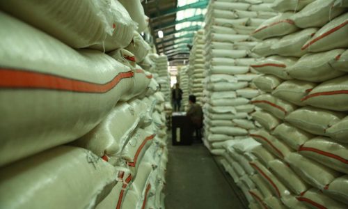 Pengamat: Mimpi Swasembada Beras Jadi Kenyataan