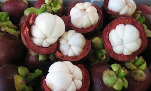 Kementan Dorong Pengembangan Manggis untuk Konservasi dan Mengurangi Emisi Karbon