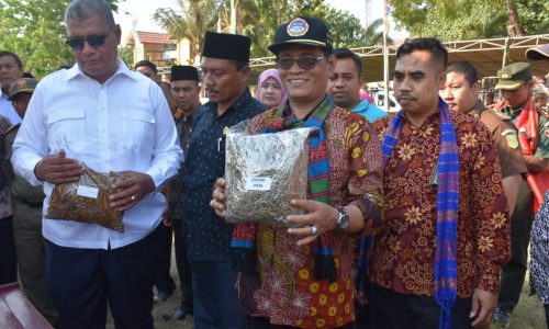 Kementan Dorong Pembangunan Peternakan Untuk Mengentaskan Kemiskinan