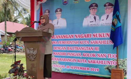 Balitbangtan Kembangkan Cluster Berbasis Diversifikasi Komoditas Pangan di Kota Sawahlunto Sumbar