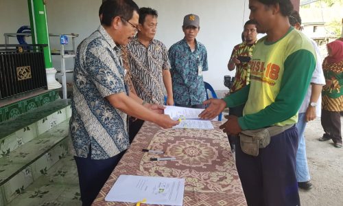 Kementan Dorong Bone Jadi Pioner Produsen Benih Kawasan Timur