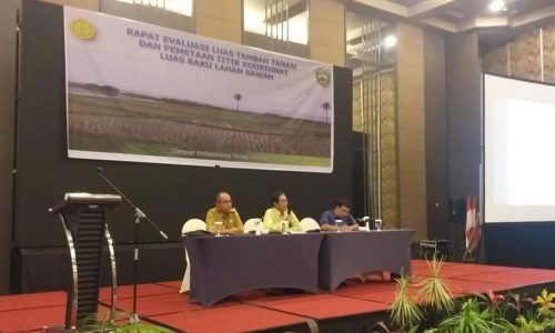 Kementan dan Provinsi Sumsel Lakukan Updating Luas Baku Lahan Sawah