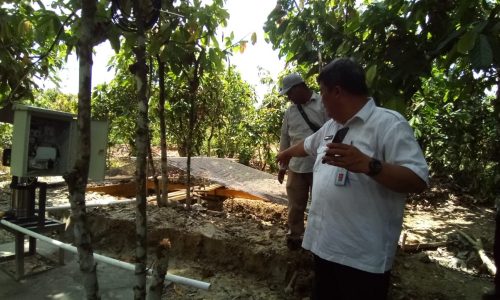 Peringatan HPS – 39 di Kendari, Kementan akan Pamerkan Teknologi Pengolahan Kakao dan Pompa Air Berbasis 4.0