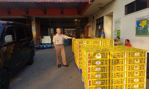Awali Musim Panen, Sumbar Berhasil Ekspor 58,9 Ton Manggis
