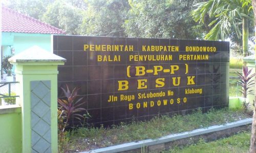 Dukungan untuk Revitalisasi Peran BPP di Kecamatan