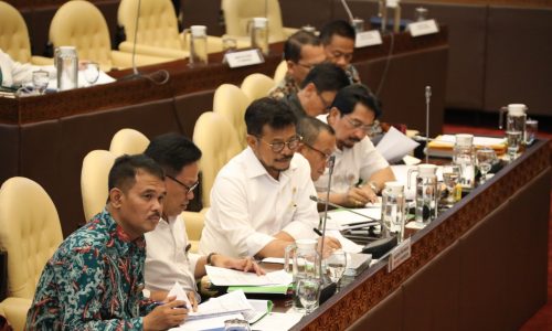 Di DPR, Mentan Syahrul Tegaskan Pertanian Harus Lebih Maju