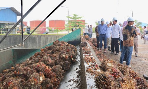 Kementan Pacu Ekspor Unggulan Non Migas dari Kalsel