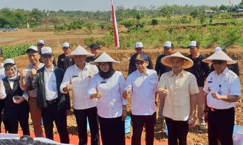Budidaya Jagung Di Lahan Lembaga Pemasyarakatan