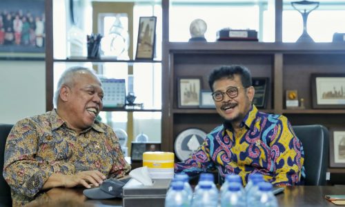 Bertemu Menteri PUPR, Mentan Bicara Karet dan Irigasi