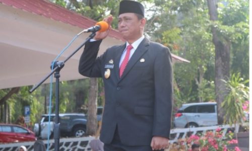 Bupati Wajo bertindak sebagai Inspektur Upacara Hari Pahlawan 2019,Legium Veteran Kabupaten Wajo dapat Bantuan Hibah