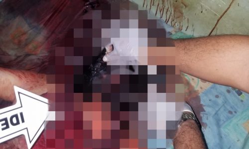 Pembunuhan Sadis di Rusun Griya Tipar Cakung