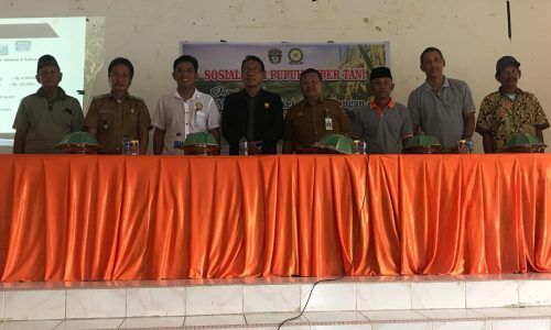 Demi Mewujudkan Ketahanan Pangan di Bumi Lamadukkelleng,Formulator STI Sosialisasi ke Petani