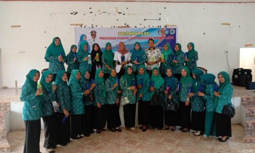 Pencegahan Stunting dan Penaganan Sampah Plastik Menjadi Topik Seminar di Pitumpanua- Wajo.