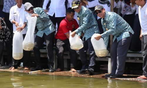 Gubernur Sulsel Tabur 5.000 Ekor Benih Ikan Mas di Danau Tempe Kab, WAJO