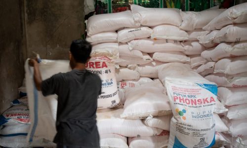Pupuk Sangat Cukup, Ingatkan Pemda Segera Percepat Realisasi.