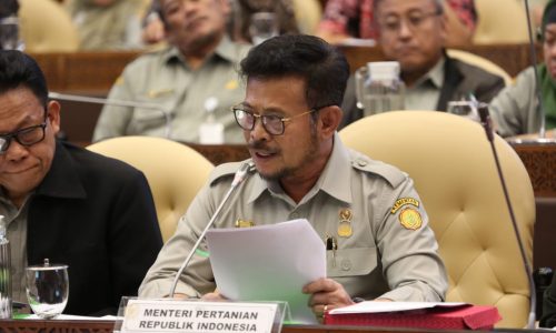 Raker DPR, Mentan Syahrul Optimis Tingkat Produksi, Ekspor dan Stabilisasi Harga Pangan.