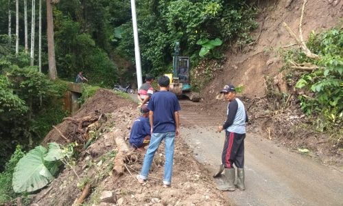Novi Candra Kirimkan Ekskavator ke Nagari Sungai Jambur untuk Bersihkan Akses jalan yang Tertimbun Tanah Longsor.