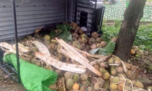Mobil Pengankut Durian Kecelakaan Tabrak PJU di Wajo, Kades Minta Tanggung Jawab