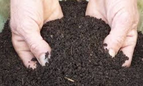 POKTAN KARYA GEMILANG PRODUKSI PUPUK BOKASHI SEBAGAI SOLUSI PERTANIAN BERKELANJUTAN